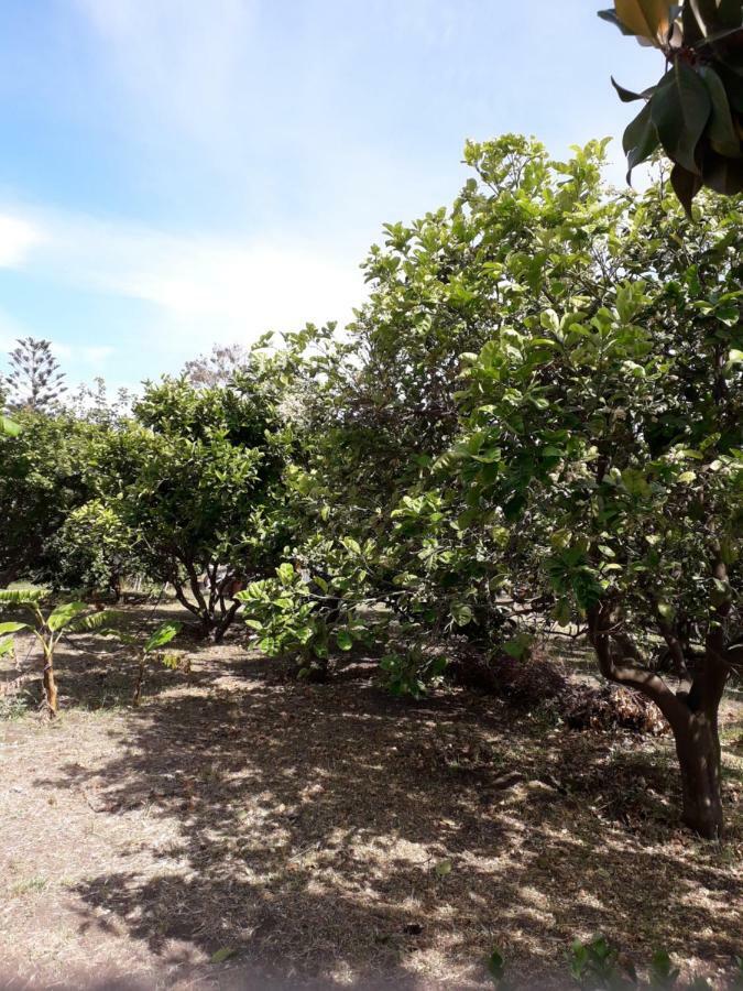Casa Agrumeto Stromboli Buitenkant foto